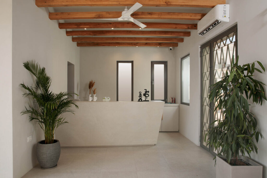 naxos-boutique-hotel-anapollo-reception_